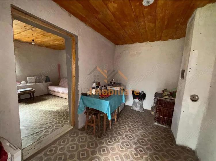 CASA SI TEREN 4.000 MP | COMUNA TRIA | JUDETUL BIHOR - 2