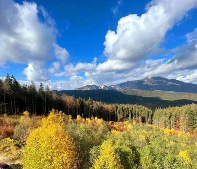 Aparthotel cu view superb Valea Prahovei - 3