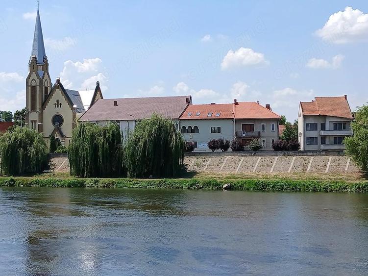 Casa de vinzare,pe malul Timisului - 2