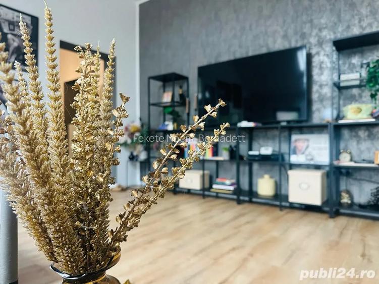 Apartament 2 camere - Dumbravita - complet mobilat Apartament 2 camere - Dumbravita - complet mobilat
