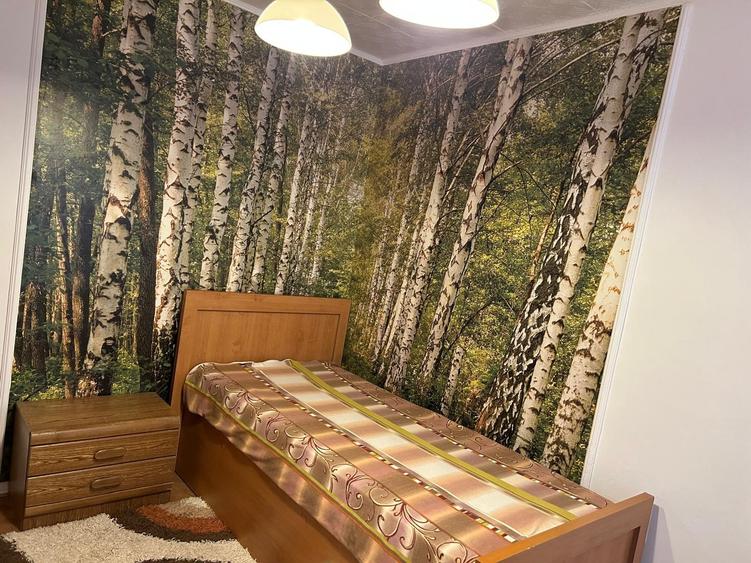 De vanzare -Ap 3 camere sptios -parter inalt -zona Lebada - 6