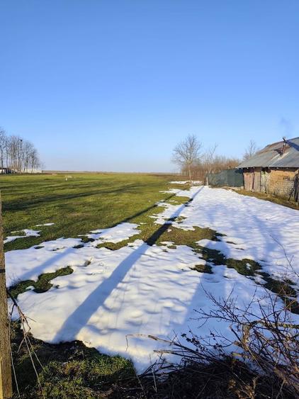 Teren Intravilan Bitina-Ungureni - 3