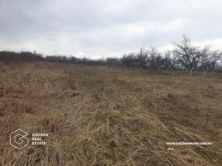 Teren intravilan 3841 mp, situat central, Covasint - 2