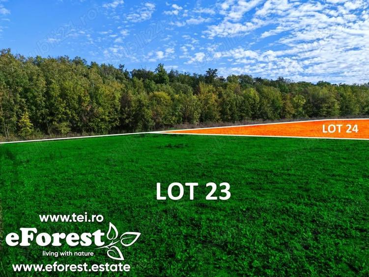 Profita acum de oferta de Pa?te! Teren aproape de natura ?i Bucure?ti, acces din DN1A, eForest - 7