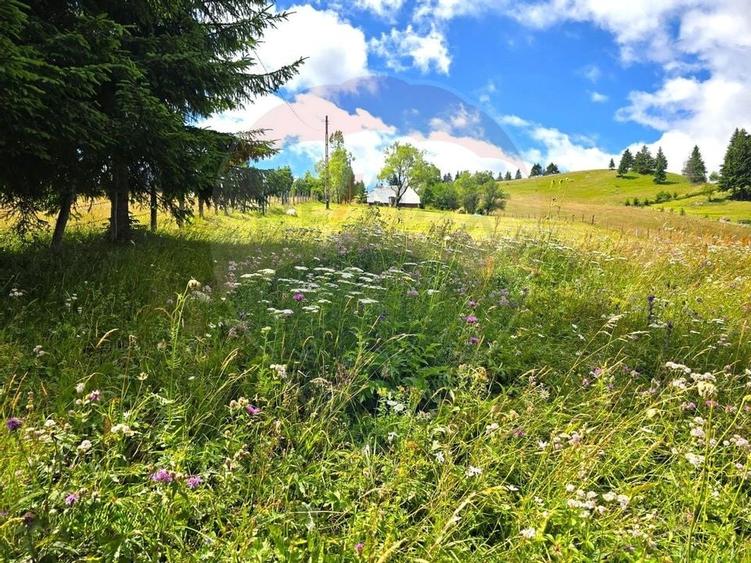 Teren de vis în Fundata 1934mp sau 3868mp, la înălțimea sufletului tău - 16