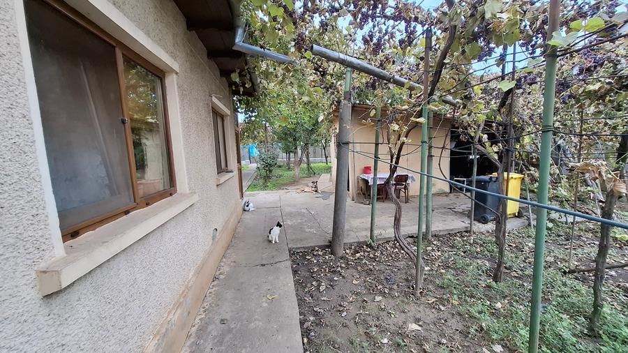 KM 5 - casa 4 cam + teren 686 mp (constructie renovabila) - 20