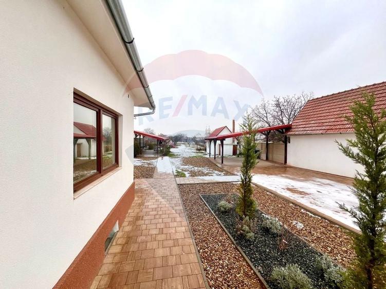 Casă de vânzare în zona Oncea, Str Ion Bogdan, teren 2.000 mp - 17