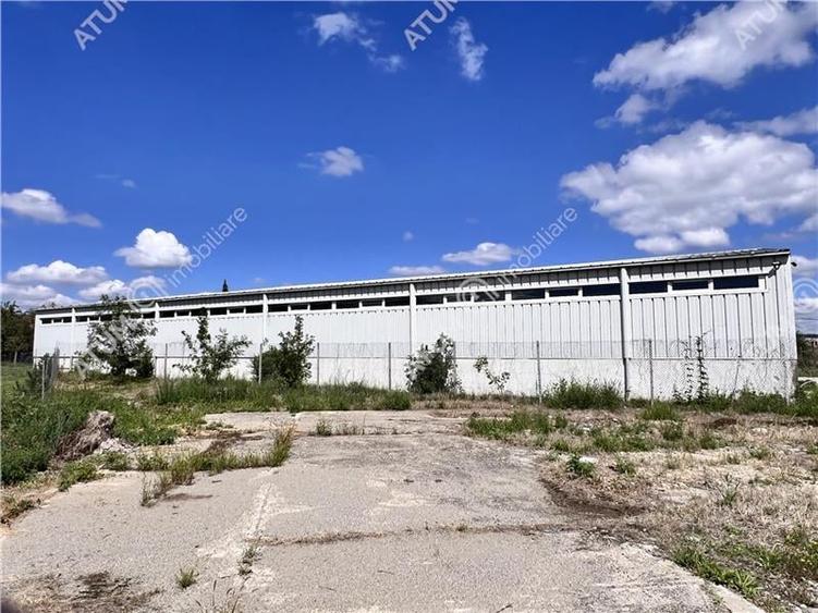 Hala de 918 mp utili si teren de 2400 mp cu acces de tir in Talmaciu - 9