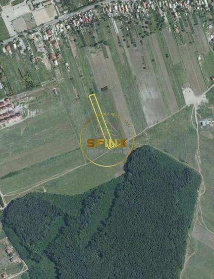 Corbeanca 2000 mp | deschidere 22 m la drum asfaltat | padure | utilitati - 8