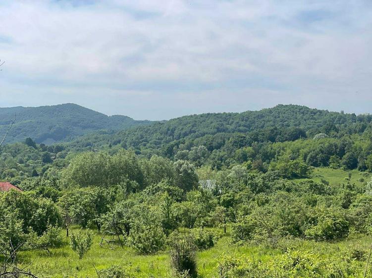 Teren de vanzare, peisaj superb, aproape de autostrada Pitesti-Sibiu - 4
