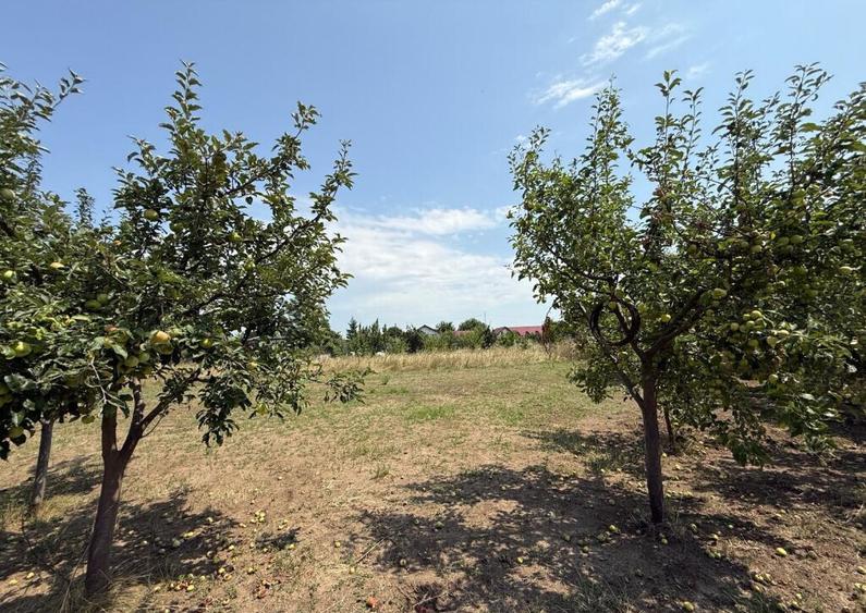 VALEA URSULUI, TEREN INTRAVILAN DE , LA MARGINE DE PADURE - 17
