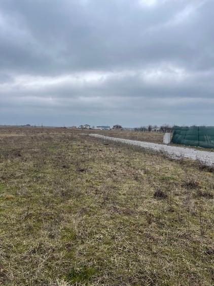 Vând teren intravilan în Cihei 500 mp front stradal 19 m cu PUD și PUZ - 7