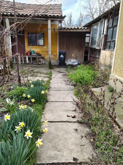 Casa de vanzare Teleorman , Baneasa - 3