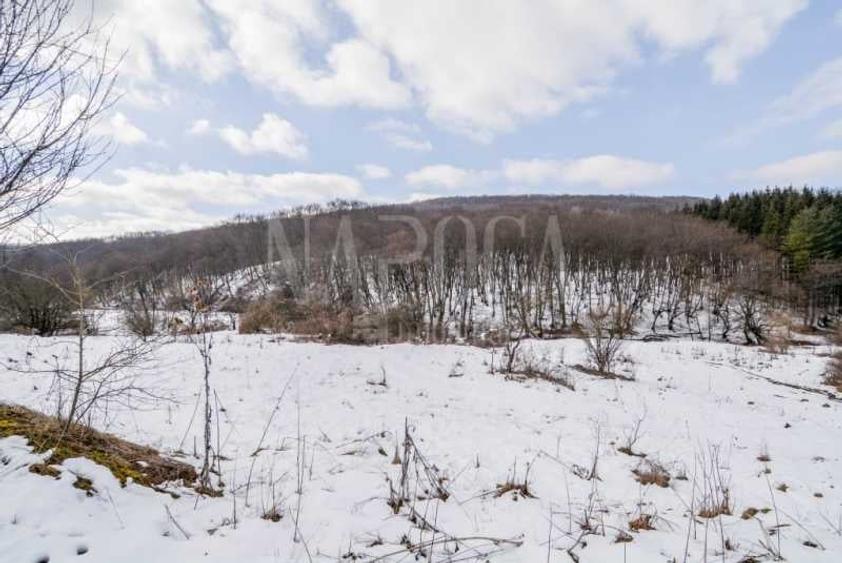 Teren intravilan pentru constructii de vanzare in Faget, Cluj Napoca - 6