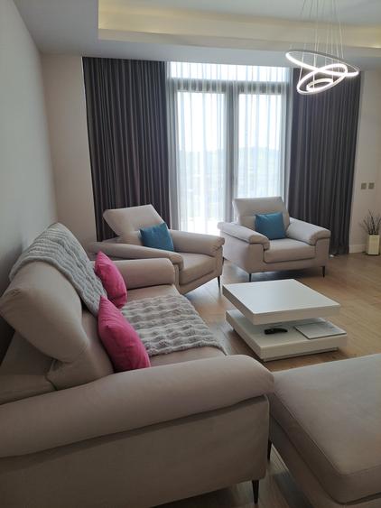 VILA NOUA,MODERNA CU 2100 METRI PATRATI TEREN-VIISOARA - 14