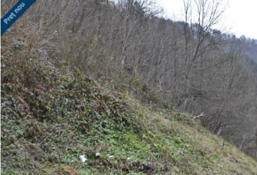 Teren intravilan 2.194 mp, VALCEA, BREZOI - 1