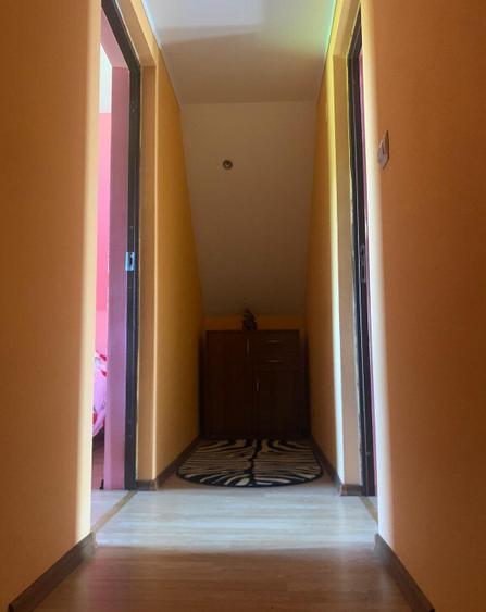 Vand doua case in aceeasi curte, in sat Dudesti, com. Luncoiu de Jos, - 14