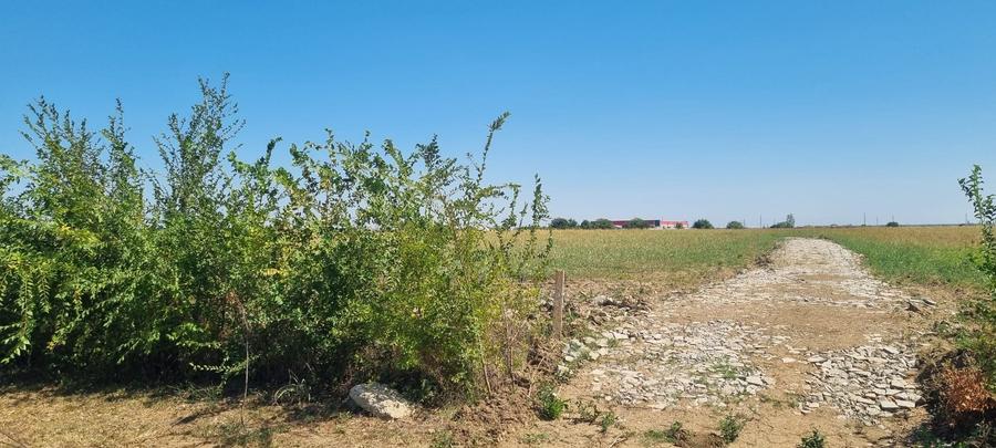 Teren intravilan Balotesti, Complex Good Afternoong - 2