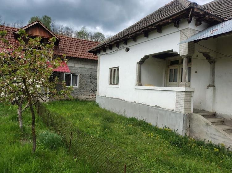 Case si teren de vanzare - 6