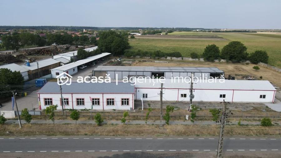 Hale depozitare/producție 2.000 mp si 10.000 mp teren în Pecica - 1