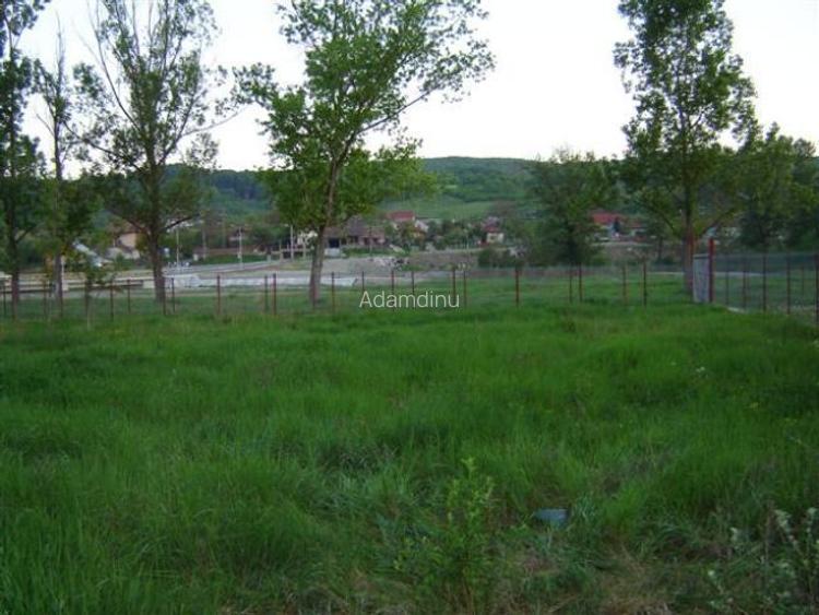 Teren central intravilan constructii intre DealulCapela-Raul Olanesti Teren central intravilan constructii intre DealulCapela-Raul Olanesti