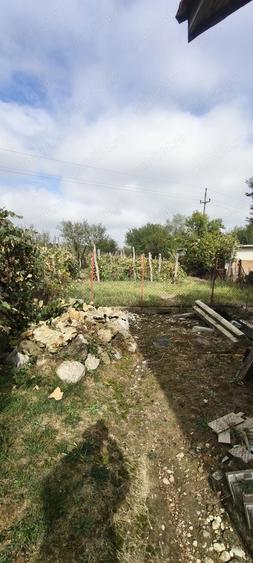 Casa noua la gri + teren 4316 mp DN67, Tele?ti, Gorj - 7