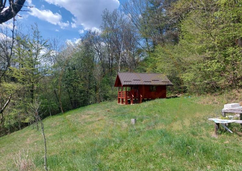 Casa primitoare de inchiriat in Valea Ursului-spa?iu, natu - 11