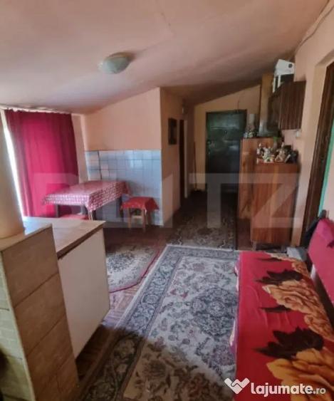 Casa de vanzare, 65 mp, zona Balta Blonda - 3