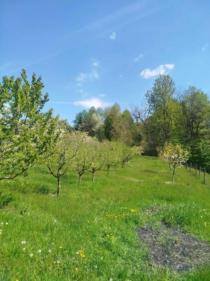 Vand casa in Cernisoara langa Horezu - 2