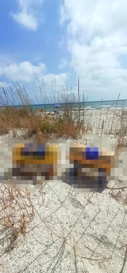 Vanzare 10000 mp plaja virgina,Constanta Vadu la Cherhana Bosoanca drum pietruit - 4