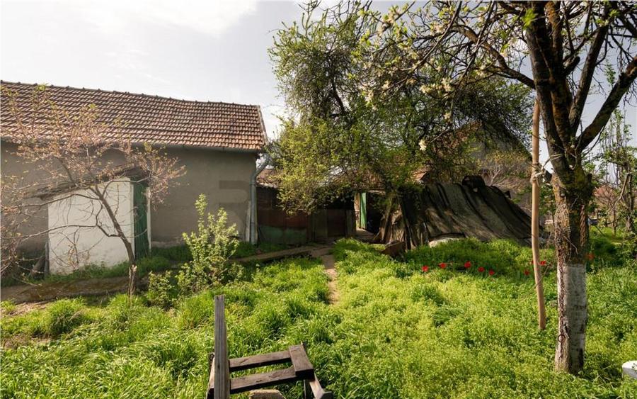 RECO casa cu teren generos in Santion - 7