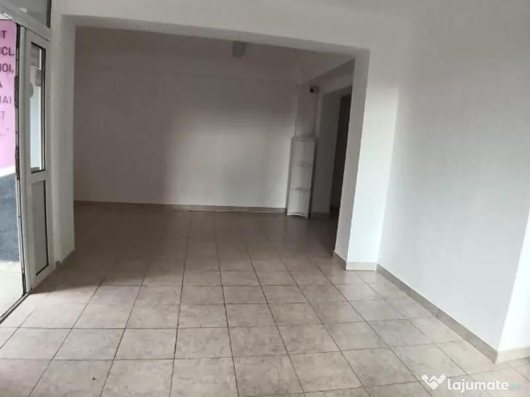 Granicerilor, spatiu comercial 100mp - 4