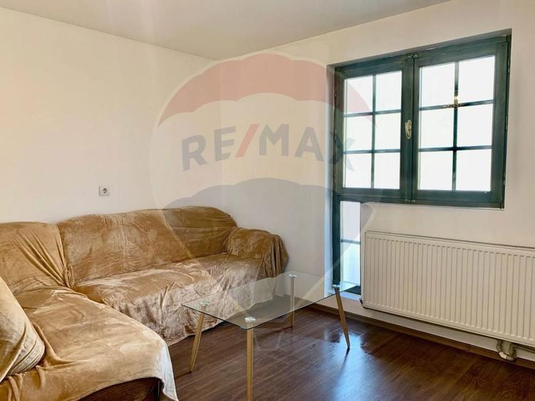 Apartament in zona Centrala, et.1, curte privata. - 4