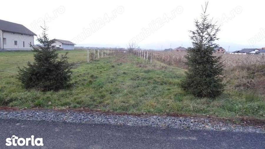 Vand teren Mocira - 1