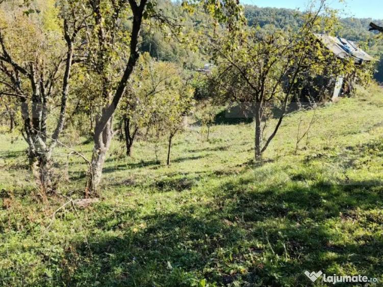 Teren cu priveli?te superba , livada ?i poten?ial casu? - 1