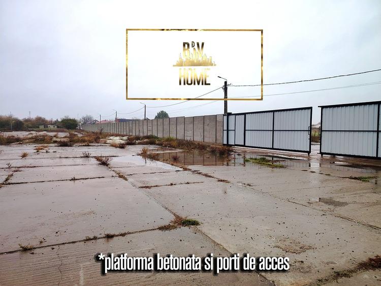 Teren 8000 mp, INTRAVILAN CC, Valu lui Traian, vanzare - 3