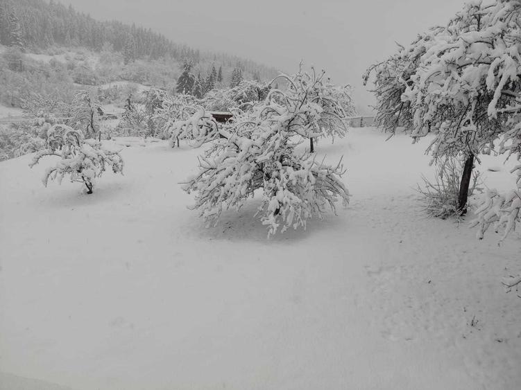 6250 MP Teren cu casa in Bicaz Izvorul Alb - 8