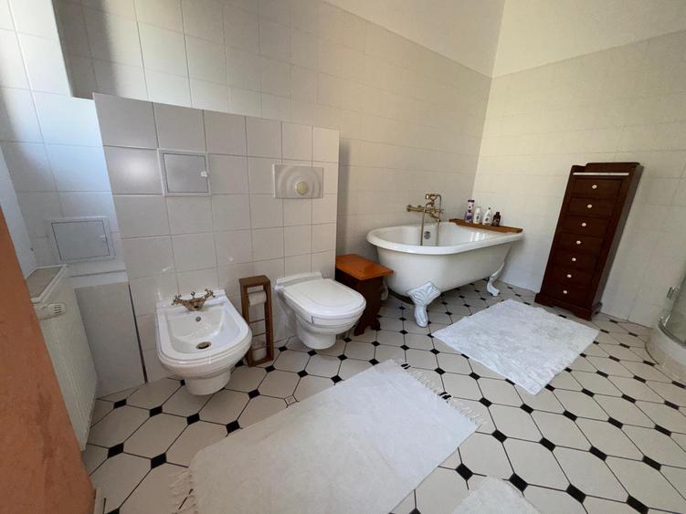 Spatios pentru  locuit si afacere - 16