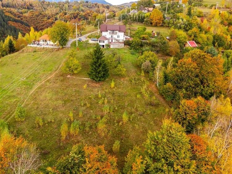 Film! Teren in peisaj mirific, Parcul Natural Piatra Craiului, Moieciu, Magura, - 9