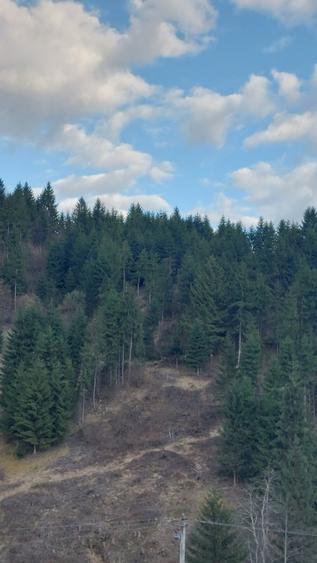 Teren intravilan de vânzare  - 8