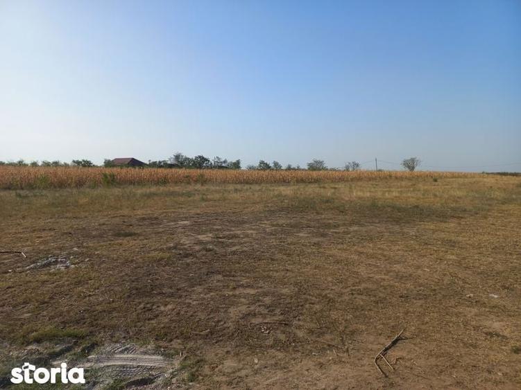 Teren de vanzare intravilan Tecuci - 4