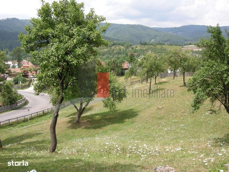 Teren intravilan 3214 mp in Rucar cu deschidere 56 m in DN73 - 1