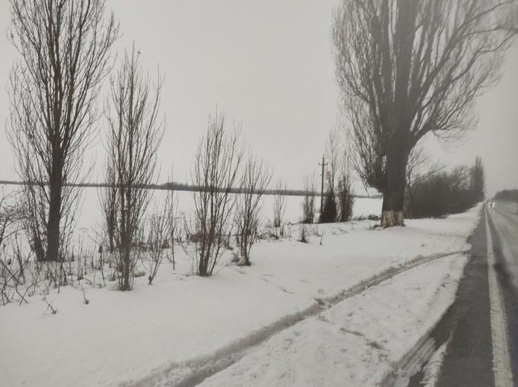 Teren Ciolpani cu deschidere generoasa la DN1 - 2