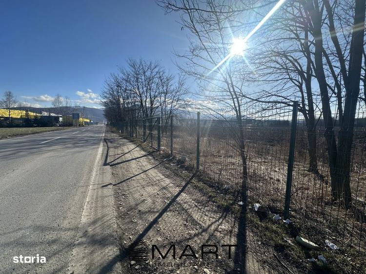 Teren Intravilan 60.000mp - 5