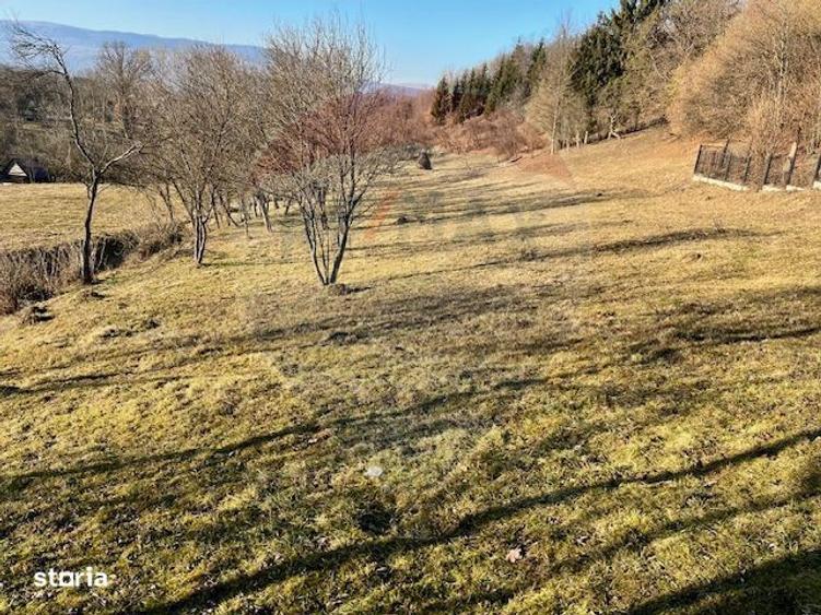 Teren extravilan Breb 6,900mp - 3