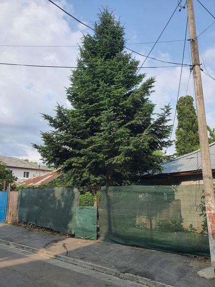 Teren intravilan 190 mp curti constructii - Lac Plumbuita - 1