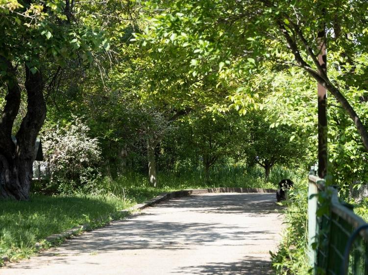VANZARE DOMENIU CU DESCHIDERE  LA LACUL SNAGOV - 6