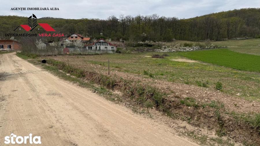 Teren intravilan 833 mp de vanzare in Ampoita Jud Alba - 6