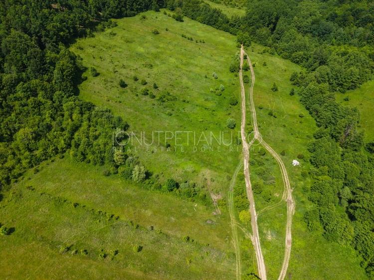 Teren agricol extravilan de 5500 mp, în Valea Mare-Podgoria