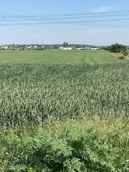 Vand urgent teren - 2